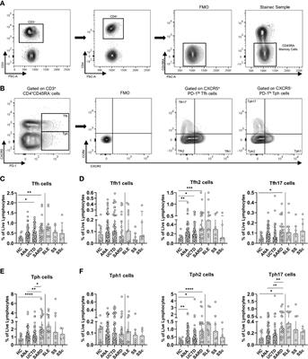 Altered Balance of Pro-Inflammatory Immune Cells to T Regulatory Cells Differentiates Symptomatic From Asymptomatic Individuals With Anti-Nuclear Antibodies